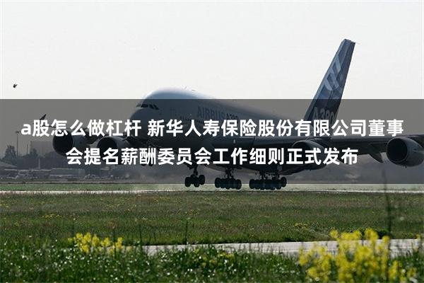 a股怎么做杠杆 新华人寿保险股份有限公司董事会提名薪酬委员会工作细则正式发布