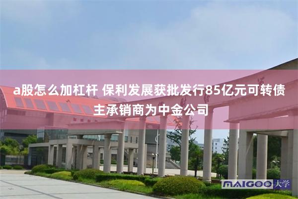 a股怎么加杠杆 保利发展获批发行85亿元可转债 主承销商为中金公司