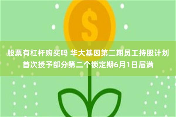 股票有杠杆购买吗 华大基因第二期员工持股计划首次授予部分第二个锁定期6月1日届满