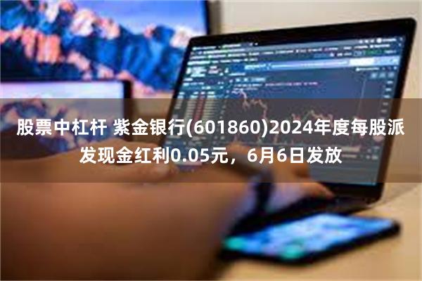 股票中杠杆 紫金银行(601860)2024年度每股派发现金红利0.05元，6月6日发放
