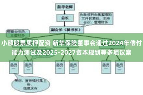 小额股票质押配资 新华保险董事会通过2024年偿付能力测试及2025-2027资本规划等多项议案