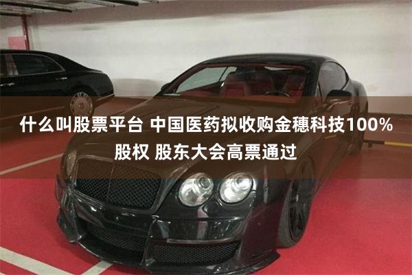 什么叫股票平台 中国医药拟收购金穗科技100%股权 股东大会高票通过