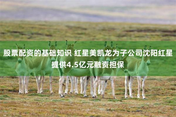 股票配资的基础知识 红星美凯龙为子公司沈阳红星提供4.5亿元融资担保