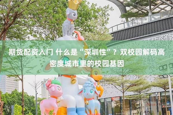 期货配资入门 什么是“深圳性”？双校园解码高密度城市里的校园基因