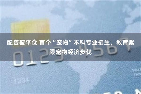 配资被平仓 首个“宠物”本科专业招生，教育紧跟宠物经济步伐