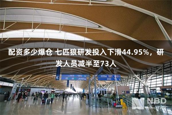 配资多少爆仓 七匹狼研发投入下滑44.95%，研发人员减半至73人