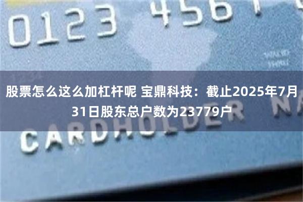 股票怎么这么加杠杆呢 宝鼎科技：截止2025年7月31日股东总户数为23779户