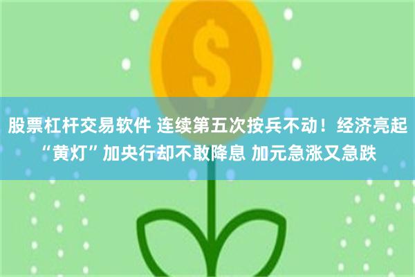 股票杠杆交易软件 连续第五次按兵不动！经济亮起“黄灯”加央行却不敢降息 加元急涨又急跌