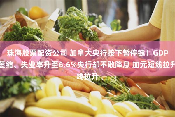 珠海股票配资公司 加拿大央行按下暂停键！GDP萎缩、失业率升至6.6%央行却不敢降息 加元短线拉升