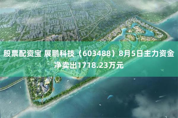 股票配资宝 展鹏科技（603488）8月5日主力资金净卖出1718.23万元