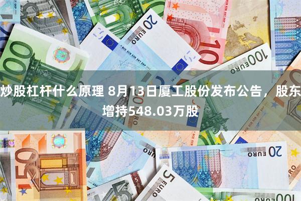 炒股杠杆什么原理 8月13日厦工股份发布公告，股东增持548.03万股