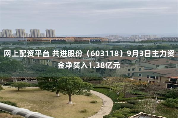 网上配资平台 共进股份（603118）9月3日主力资金净买入1.38亿元