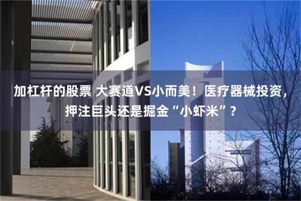 加杠杆的股票 大赛道VS小而美！医疗器械投资，押注巨头还是掘金“小虾米”？