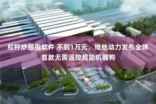 杠杆炒股指软件 不到1万元,维他动力发布全球首款无需遥控超能机器狗