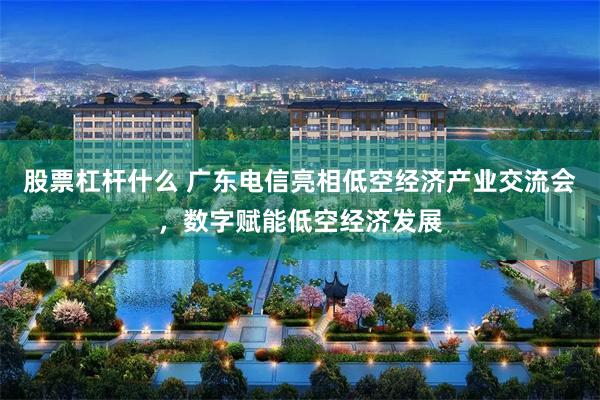 股票杠杆什么 广东电信亮相低空经济产业交流会，数字赋能低空经济发展
