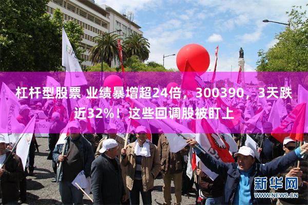 杠杆型股票 业绩暴增超24倍,300390,3天跌近32%!这些回调股被盯上