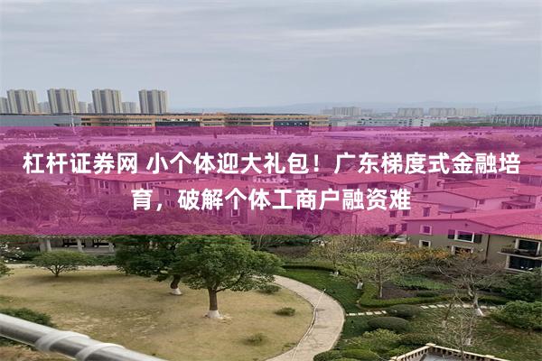 杠杆证券网 小个体迎大礼包!广东梯度式金融培育,破解个体工商户融资难