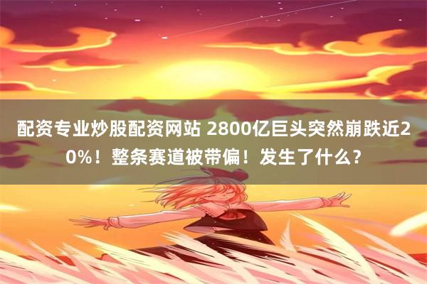 配资专业炒股配资网站 2800亿巨头突然崩跌近20%!整条赛道被带偏!发生了什么?