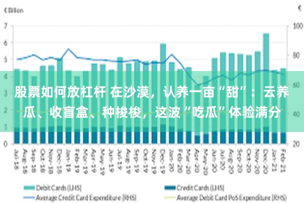 股票如何放杠杆 在沙漠，认养一亩“甜”：云养瓜、收盲盒、种梭梭，这波“吃瓜”体验满分