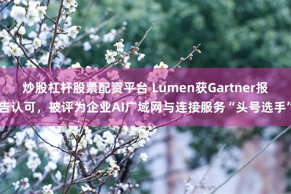 炒股杠杆股票配资平台 Lumen获Gartner报告认可，被评为企业AI广域网与连接服务“头号选手”