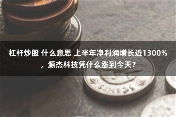 杠杆炒股 什么意思 上半年净利润增长近1300%，源杰科技凭什么涨到今天？