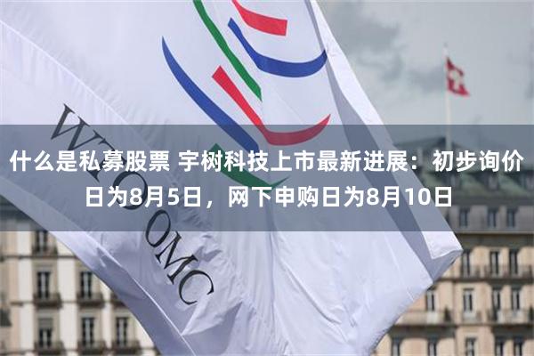 什么是私募股票 宇树科技上市最新进展：初步询价日为8月5日，网下申购日为8月10日