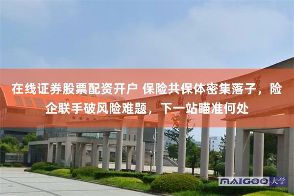 在线证券股票配资开户 保险共保体密集落子，险企联手破风险难题，下一站瞄准何处