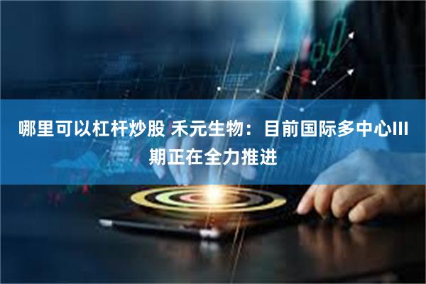 哪里可以杠杆炒股 禾元生物:目前国际多中心III期正在全力推进