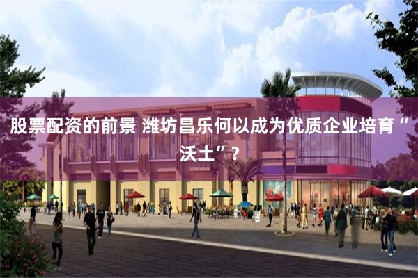 股票配资的前景 潍坊昌乐何以成为优质企业培育“沃土”？