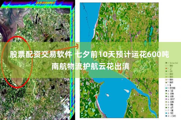 股票配资交易软件 七夕前10天预计运花600吨 南航物流护航云花出滇