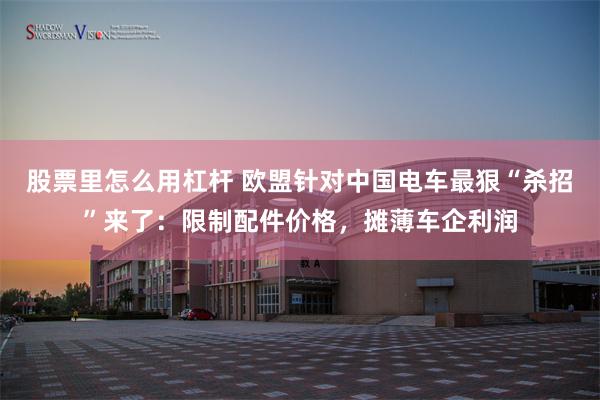股票里怎么用杠杆 欧盟针对中国电车最狠“杀招”来了：限制配件价格，摊薄车企利润