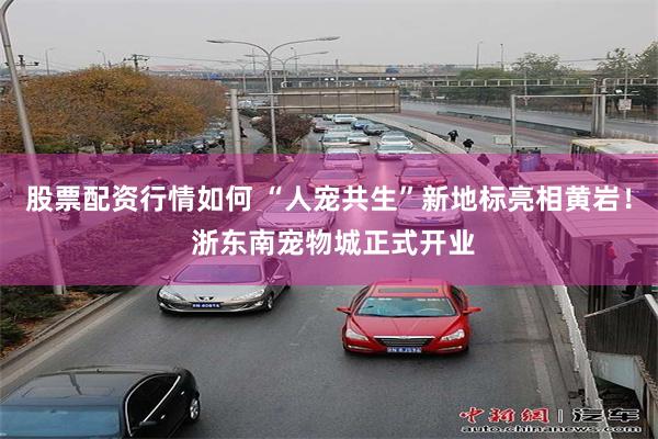 股票配资行情如何 “人宠共生”新地标亮相黄岩！ 浙东南宠物城正式开业