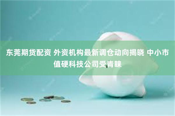 东莞期货配资 外资机构最新调仓动向揭晓 中小市值硬科技公司受青睐