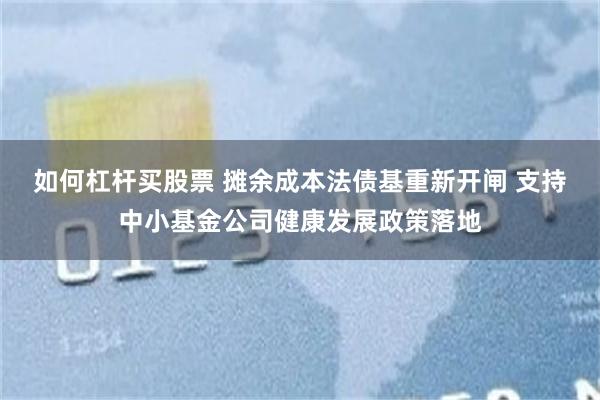 如何杠杆买股票 摊余成本法债基重新开闸 支持中小基金公司健康发展政策落地