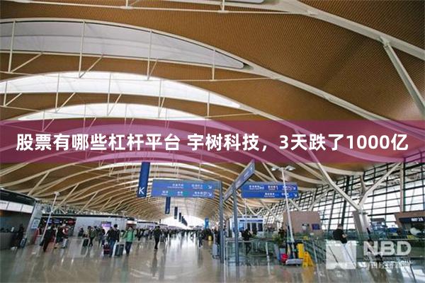 股票有哪些杠杆平台 宇树科技，3天跌了1000亿