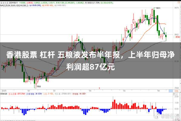 香港股票 杠杆 五粮液发布半年报，上半年归母净利润超87亿元