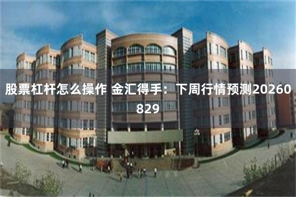 股票杠杆怎么操作 金汇得手：下周行情预测20260829