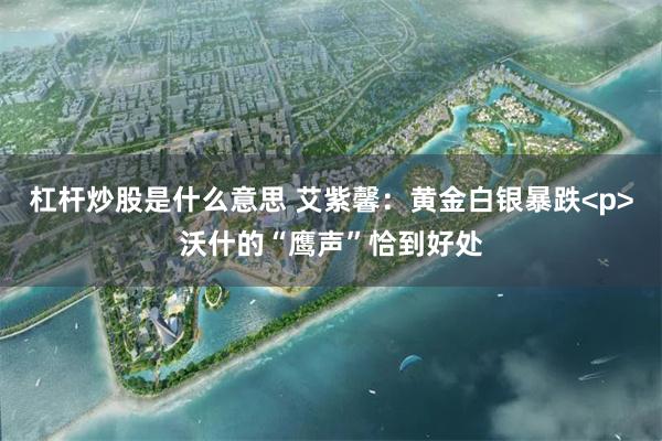 杠杆炒股是什么意思 艾紫馨：黄金白银暴跌<p>沃什的“鹰声”恰到好处