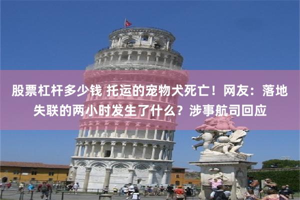 股票杠杆多少钱 托运的宠物犬死亡！网友：落地失联的两小时发生了什么？涉事航司回应