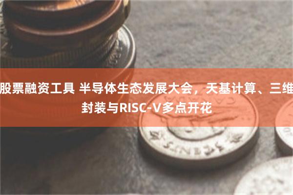 股票融资工具 半导体生态发展大会,天基计算、三维封装与RISC-V多点开花