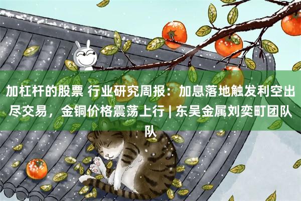 加杠杆的股票 行业研究周报：加息落地触发利空出尽交易，金铜价格震荡上行 | 东吴金属刘奕町团队