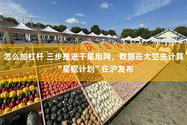 怎么加杠杆 三步推进千星组网，数据在太空先计算 “星枢计划”在沪发布