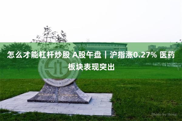 怎么才能杠杆炒股 A股午盘｜沪指涨0.27% 医药板块表现突出