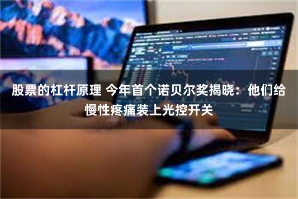 股票的杠杆原理 今年首个诺贝尔奖揭晓：他们给慢性疼痛装上光控开关