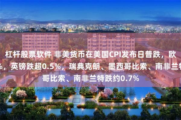 杠杆股票软件 非美货币在美国CPI发布日普跌，欧元跌超0.4%，英镑跌超0.5%，瑞典克朗、墨西哥比索、南非兰特跌约0.7%
